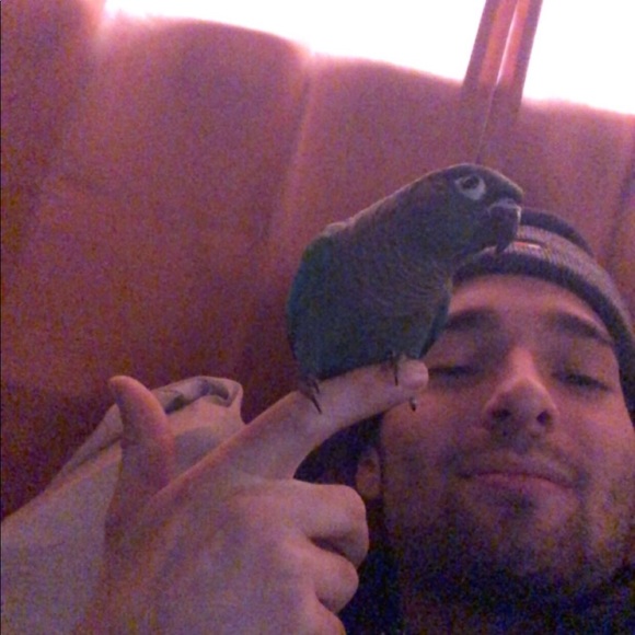 Meet your Posher, Dylan - Picture 1 of 1